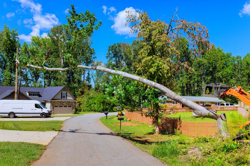 Cost of Tree Removal Service in Westfield, IN