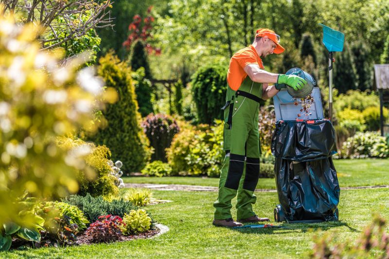 Professional Yard Maintenance