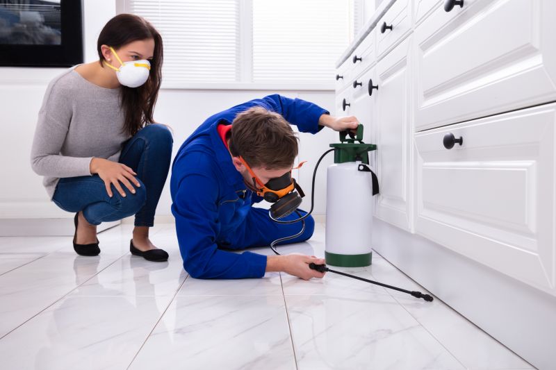 Insect Extermination Service