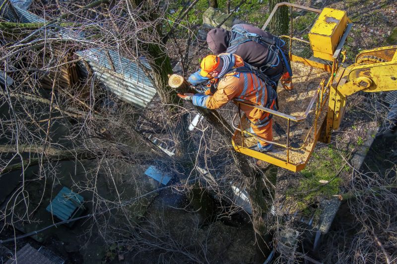 Safe Tree Felling Equipment