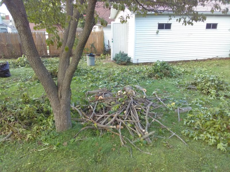 Post-Removal Landscape Restoration