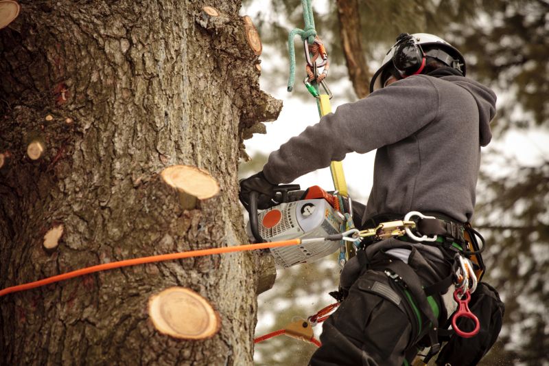 Safety Measures During Removal